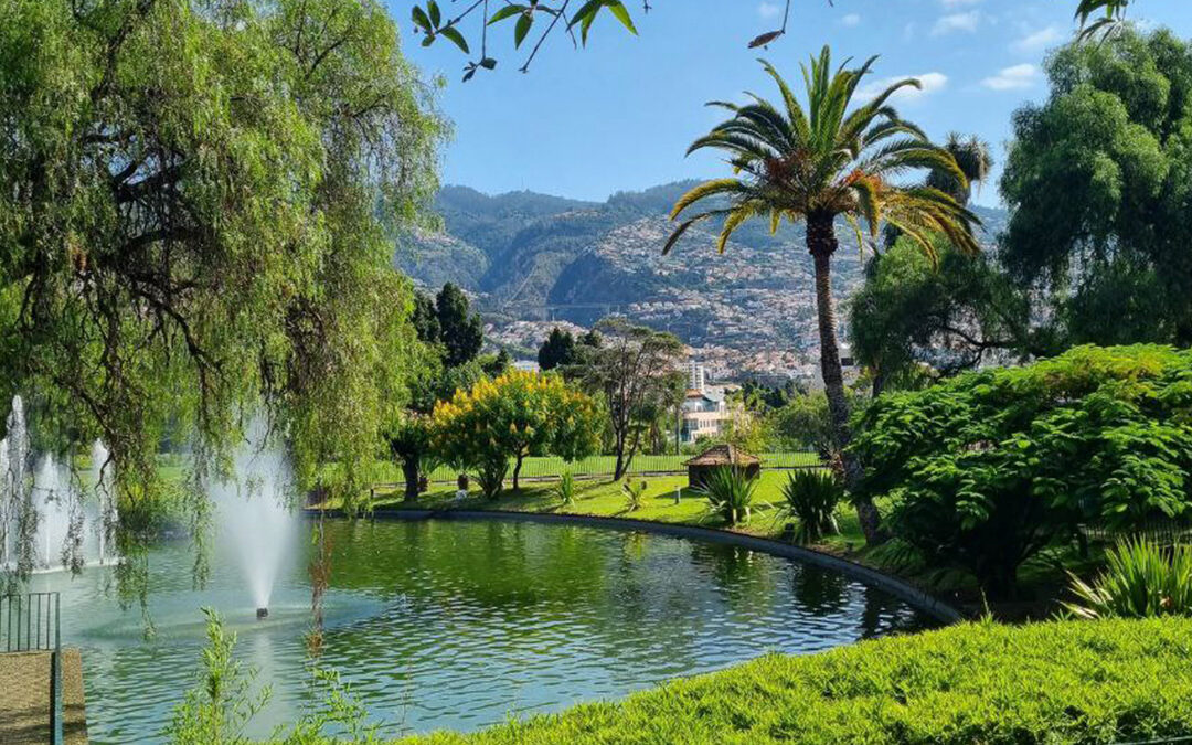 The South of Madeira
